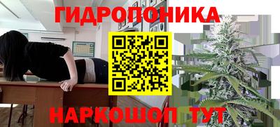 дмт Кинель