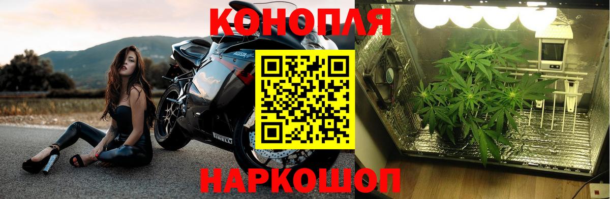 Десногорск  Шишки марихуана ГИДРОПОН  Вход с VPN  Конопля Amnesia 
